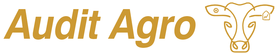 auditagro.uy